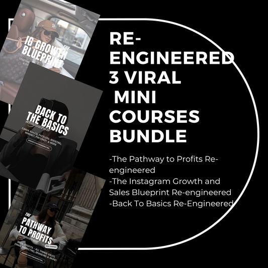 RE-ENGINEERED  3 VIRAL MINI COURSES BUNDLE