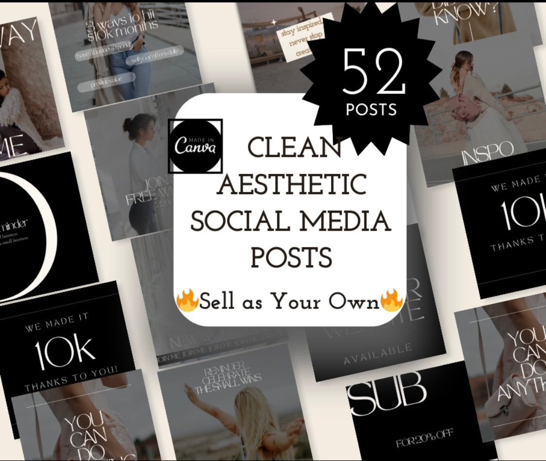 52 CLEAN AESTHETIC SOCIAL MEDIA POSTS PLR/MRR RIGHTS