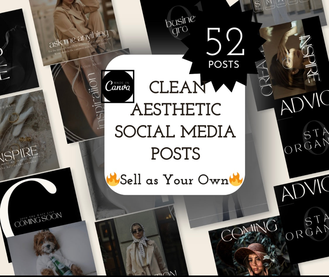 52 CLEAN AESTHETIC SOCIAL MEDIA POSTS PLR/MRR RIGHTS