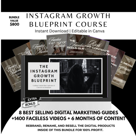 INSTAGRAM GROWTH BLUEPRINT REELS AND BONUS